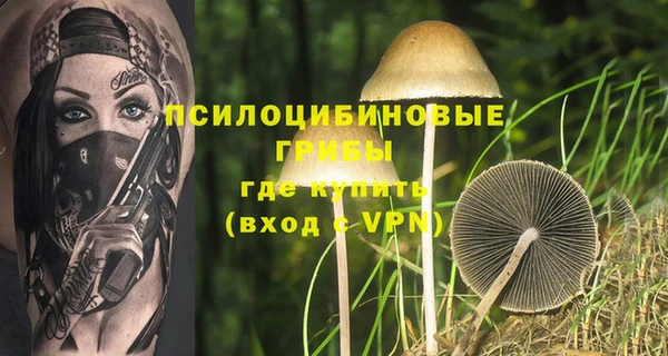 винт Михайловка