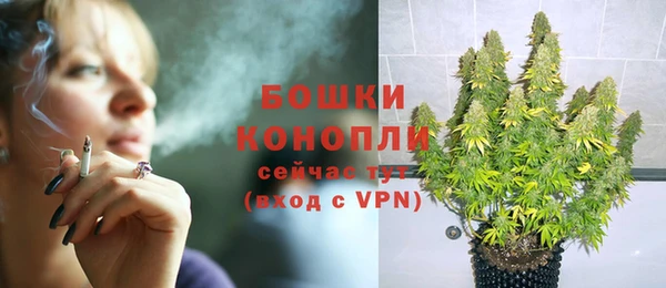 трава Беслан