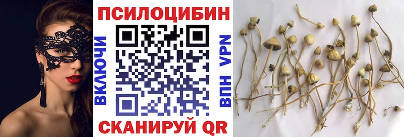 купить закладку  Зуевка  Галлюциногенные грибы прущие грибы 